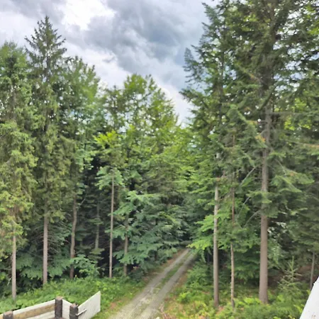 Na Polanie דירה קריניצה זדרוי